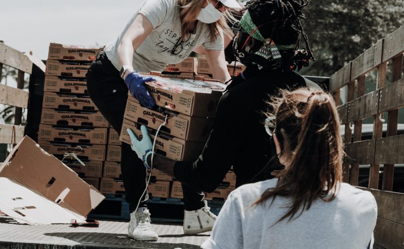 From sheep to shepherds