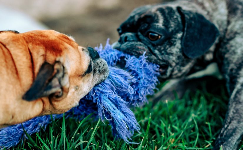 Decisions, decisions