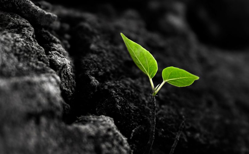 But they’re cousins (not identical…)