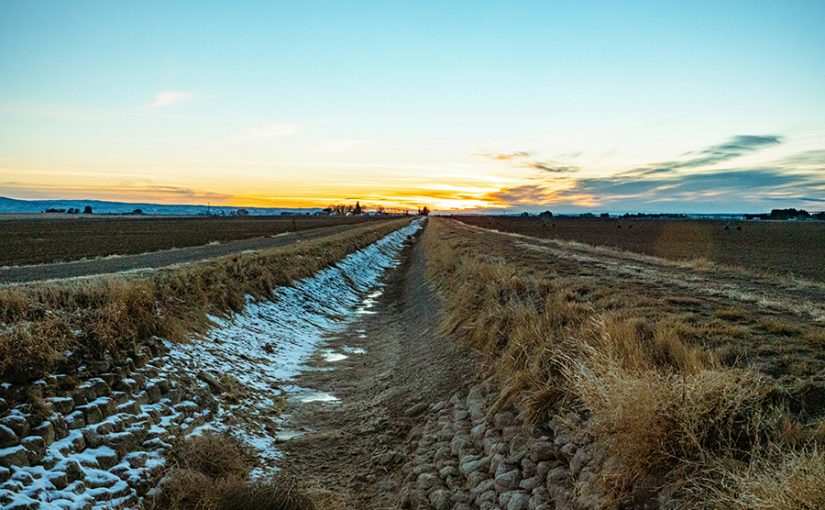 Into the sunset